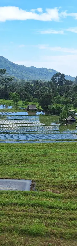 Traditionen, Stille & Action – Individualreise durch Bali, Indonesien